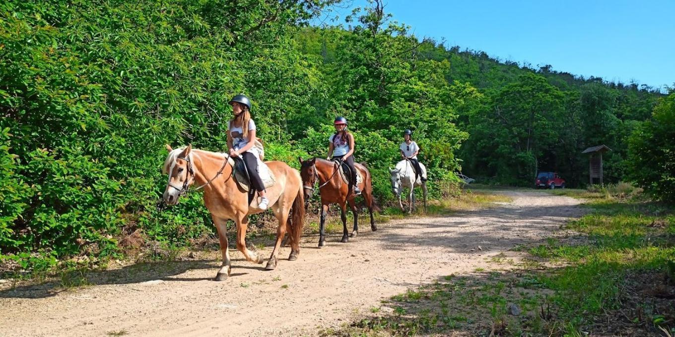 Agriturismo Poggio Al Tesoro Crespina ภายนอก รูปภาพ