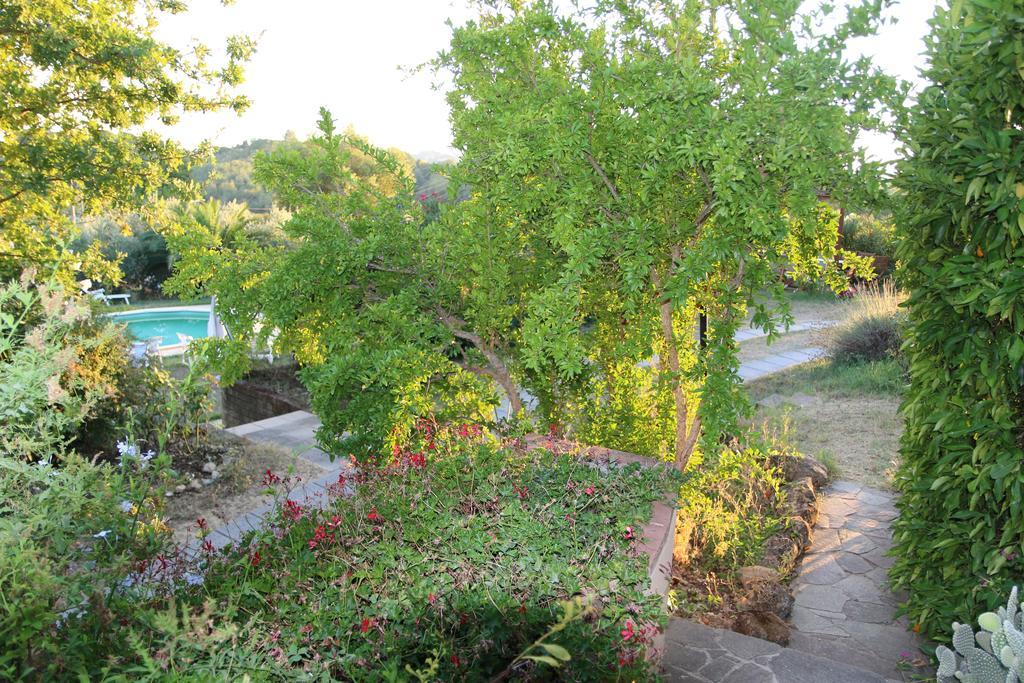 Agriturismo Poggio Al Tesoro Crespina ภายนอก รูปภาพ