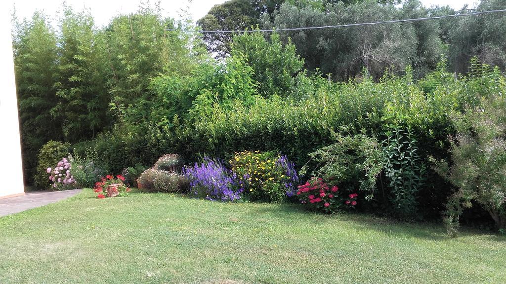 Agriturismo Poggio Al Tesoro Crespina ภายนอก รูปภาพ