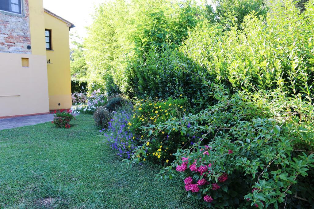 Agriturismo Poggio Al Tesoro Crespina ภายนอก รูปภาพ