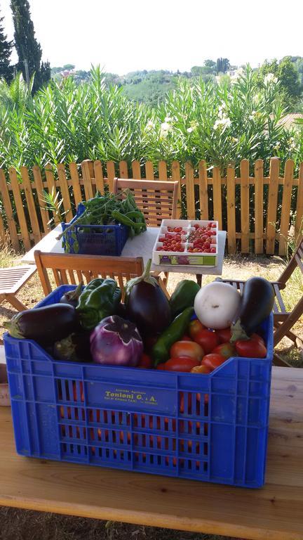 Agriturismo Poggio Al Tesoro Crespina ห้อง รูปภาพ
